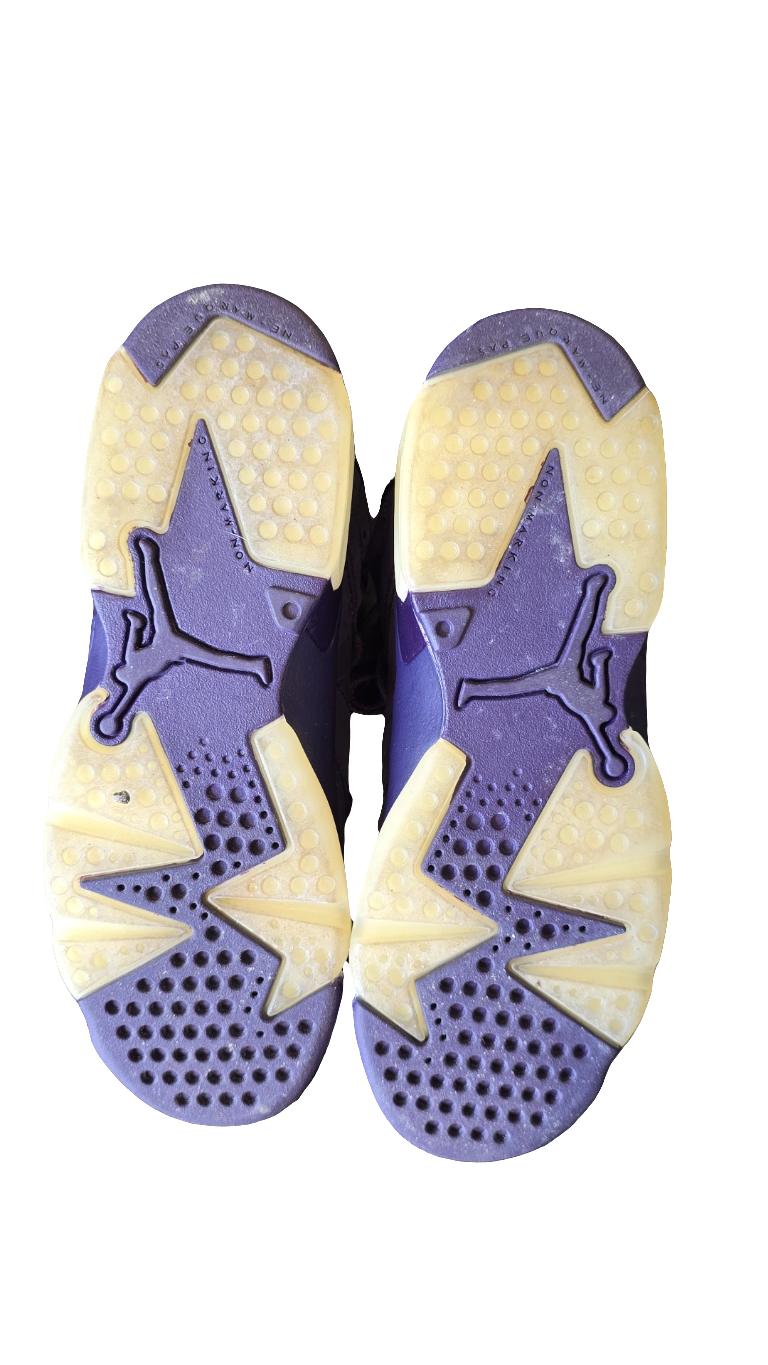 Jordan 6 Retro Purple Dynasty
